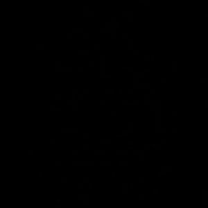 Meet your Posher, Ariel